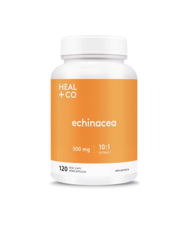 HEAL + CO. Echinacea Supplement | High Potency 10:1 Extract 5000 mg per serving | Immune Support | 120 x 500 mg Capsules