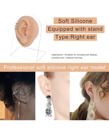 Soft Silicone Right Ear Model with Acrylic Stand - Ideal for Suture Practice and Jewelry Display - Buy Online on GoSupps.com