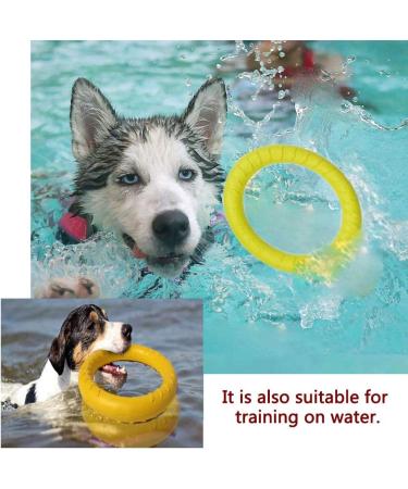 NA 2pcs Dog Toys Ring Outdoor Fitness Flying Discs Water Floating Dog Interactive Training Ring for Small Dog and Medium Dog - Buy Online on GoSupps.com