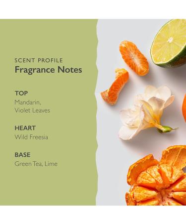 Scent-Organix So Serene Perfume for Men & Women - Citrusy and Fruity Scent with Notes of Mandarin Wild Freesia & Green Tea - Non-Toxic Vegan & Biodegradable Perfume - 1.7fl Oz - Buy Online on GoSupps.com