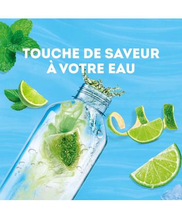 Lipton Cold Brew Cold Infusion Lemon & Mint Taste Ideal for Ice Tea Ingredients of 100% Natural Origin 6x15 Pyramid Bag - Buy Online on GoSupps.com