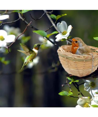 Obelunrp Bird Nest for Wildbird 6pcs 3.9inch Bamboo Woven Nesting Boxes for Wild Birds Hatching Breeding Cave for Parrot Canary or Cockatiel - Buy Online on GoSupps.com