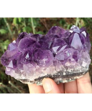 Natural Crystal Rough 150g Natural Amethyst Beautiful Purple Quartz Geode Crystal Cluster Specimen - Buy Online on GoSupps.com