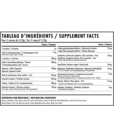 Nova Pharma Punch Out Pre Workout Powder L-Carnitine and Antioxidant-Rich Pre Workout Supplement Boost Stamina and Endurance for Gym Training and Workouts - 40 Servings (Dragon Fruit) - Buy Online on GoSupps.com