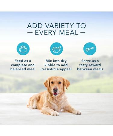 Blue Buffalo Homestyle Recipe Natural Wet Dog Food Fish & Sweet Potato 12.5oz (Pack of 12 ) Pack of 12 Fish & Sweet Potato - Buy Online on GoSupps.com