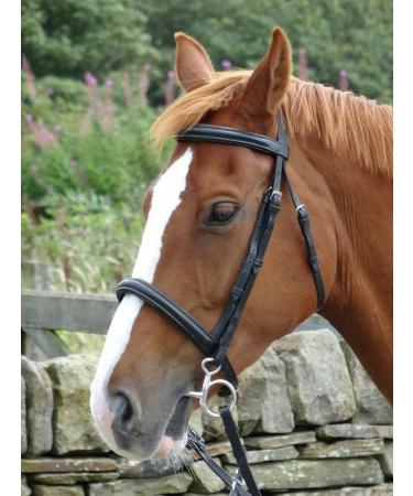 Turners Stunning Black Leather Snaffle Cavesson Horse Riding Bridle with Reins (Pony) - Buy Online on GoSupps.com