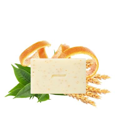 Caswell-Massey Heritage Body Scrub Bar Soap - Exfoliating Moisturizing Natural Soap for Men & Women - 6.4 Oz Scented Bath Bar for Face Body & Hands - Buy Online on GoSupps.com