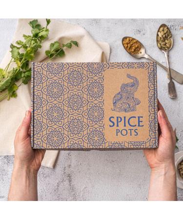 Spice Pots Curry Spice Selection - Korma, Bhuna, Goan, Tandoori Blends - Vegan & Gluten-Free - 4 x 40g Pack SPCURRY-LB - Buy Online on GoSupps.com