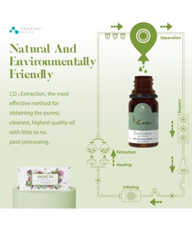 ASAKUKI Essential Oils Set Starter Kit - Top 6 Aromatherapy Oils for Diffusers - Lavender, Eucalyptus, Lemongrass, Tea Tree, Sweet Orange, Peppermint - 60mL Gift Set - Buy Online on GoSupps.com