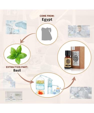 Buy Akarz Natural Organic Basil Oil - Pure Premium Therapeutic 10ml for Skin Hair Candle Soap DIY & Aroma Massage - Buy Online on GoSupps.com