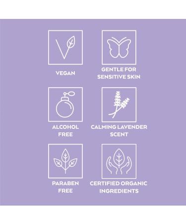 Little Pure Project Diaper Rash Cream - Zinc Oxide Free Vegan Calendula Ointment for Newborns Soothes & Prevents Diaper Rashes - 3.8 Fl. Oz - Buy Online on GoSupps.com