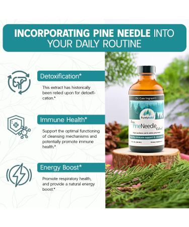 PURELY WILD Raw Pine Needle Extract by Dr Cass Ingram Whole Food Liquid Supplement with Pine & Spruce Extracts, Oregano Oil & Apple Cider Vinegar Wild-Harvested Formula 8 fl oz - Buy Online on GoSupps.com