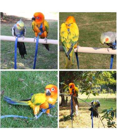 Bird Harness and Leash Adjustable Parrot Harness Anti-Bite Flying Training Rope Pet Outdoor Traction for Budgies Parakeets Parrots Cockatoo Cockatiel (Blue) - Buy Online on GoSupps.com