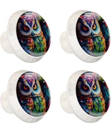 Buy GEAPB 4PC Cabinet Handles - Colorful Animal Owl Design for Cupboards & Drawers | International Shipping Available - Buy Online on GoSupps.com