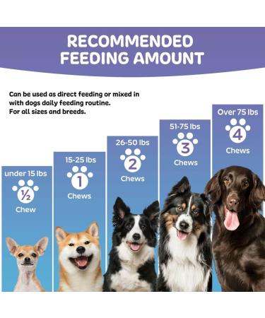 Hemp Hip and Joint Chews for Dogs Glucosamine Chondroitin & MSM | Joint Health Support for All Ages - Buy Online on GoSupps.com