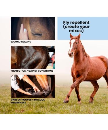 Pyrenees Care Balm Healing Gel Propolis Relief Ointment Antimicrobial Properties Accelerates Healing Antioxidant Soothi - Buy Online on GoSupps.com