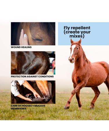 Premium Horse & Pet Propolis Gel - Healing Ointment for Eczema Wounds & Irritated Skin - 300ml - Buy Online on GoSupps.com