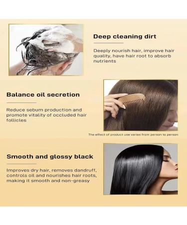Ginger Plant Extract Anti-Hair Loss Hair Shampoo 240ml Ginger Shampoo for Hair Growth Oil Control Hair Care Plant Shampoo (1pc) - Buy Online on GoSupps.com