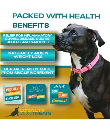 Loyalty Dog Treats Slippery Elm Powder & Sea Kelp Digestive Supplements Bundle - Buy Online on GoSupps.com
