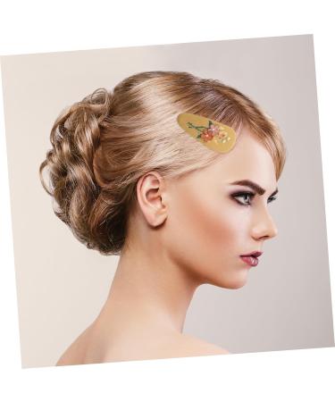 ABOOFAN 10 Pairs Hairpin Toddler Hair Barrette Barrettes for Fine Hair Kids Hair Clip Kids Accessories for Girls Hair Decorations for Girls Retro Hair Pin Issue Card Princess Baby Alloy - Buy Online on GoSupps.com