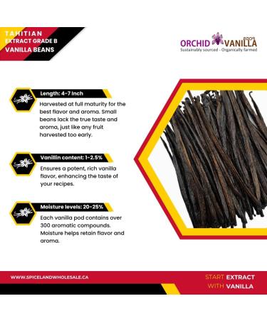 Tahitian Extract Grade-B Vanilla Beans For Extract Making By Count (100 Beans (Pack of 1)) - Buy Online on GoSupps.com