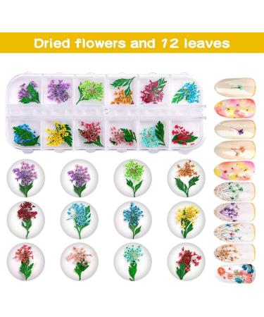 Dried Flowers Nail Stickers - 36 Pc 3D Resin Flower Art Kit with Curved Tweezer | DIY Nail Decor Accessories - Buy Online on GoSupps.com