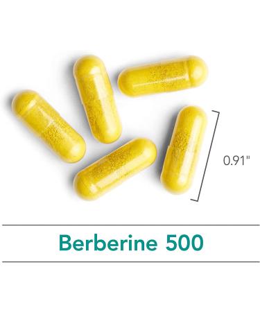 Nutricology Berberine 500mg - 90 Vegetarian Capsules for Optimal Health - Buy Online on GoSupps.com