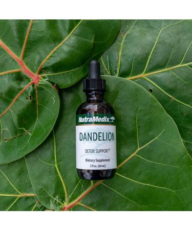 Nutramedix Dandelion Detox Support - Tincture for Liver Health + Gut Health + Antioxidant Support - Dandelion Leaf Liver Support Supplement for Daily Use (60ml) - Buy Online on GoSupps.com