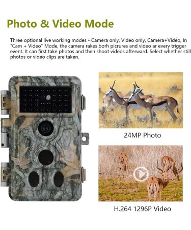 Buy Blazevideo Wild Camera 32MP 1296P - IP66 Waterproof Surveillance for Hunting & Forest Monitoring - Buy Online on GoSupps.com