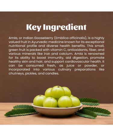 Neel Ayurvedics Amla Powder 300 GM - Buy Online on GoSupps.com