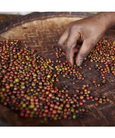 Organic Black Pepper Whole - Premium Rasavat Pepper from Sri Lanka | 250g - Pfefferdieb - Buy Online on GoSupps.com