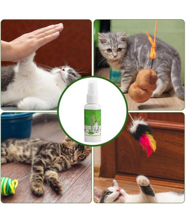 Cat Catnip Spray - Natural 50ml Catnip Spray - Cat Accessories for Indoor Cats Cat Catnip for Indoor/Outdoor Use for Training Redirecting Behaviors Frifer - Buy Online on GoSupps.com
