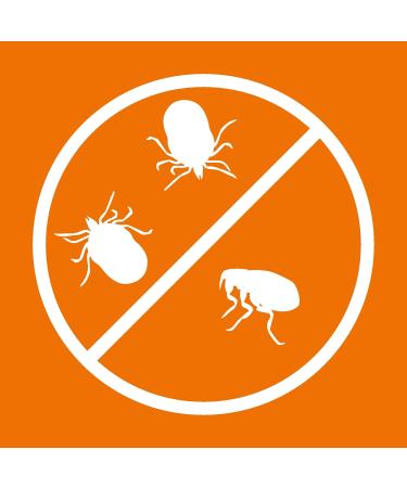 ARDAP Spot On - Natural Tick & Mite Protection for Ornamental Birds & Racing Pigeons | Up to 12 Weeks Long-Term Care - Buy Online on GoSupps.com