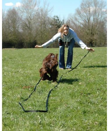 Company of Animals Professional Dog Whistle - Adjustable Frequency for Training - Clear Sound - Includes Lanyard & Cap - Silver Medium - Buy Online on GoSupps.com