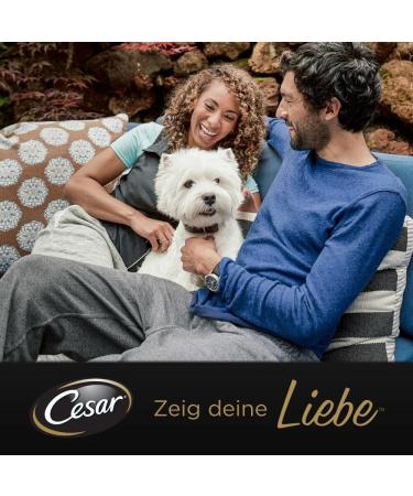 Cesar Adult Dog Food Classic Terrine - Hearty Poultry & Beef 14x150g - Premium Wet Dog Food No Added Sugar or Dyes International Shipping Available - Buy Online on GoSupps.com
