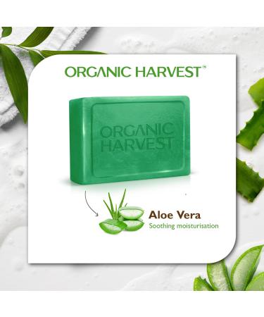 Luxurious Aloe Vera Bathing Bar | Organic Sulphate & Paraben-Free Soap for Soft Skin | Gentle Cleansing | 125g - Buy Online on GoSupps.com