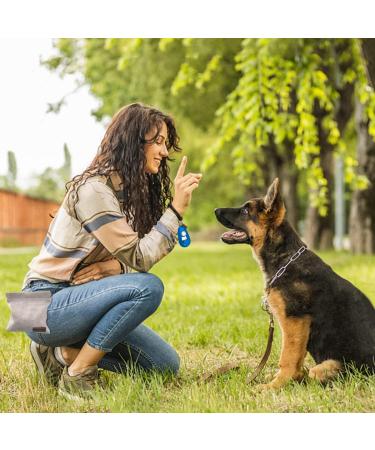 Buy Tigoadt Dog Treat Bag with Hip Clip | Portable Training Clicker & Leash Pocket - Ideal for Outdoor Dog Training (Gray) - Buy Online on GoSupps.com