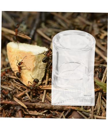 Balacoo 2pcs Ant Water Feeder ant Habitat Science ant Farm nest ant Castle ant Farming Castle ant Colony - Buy Online on GoSupps.com