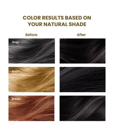 Instant Black Hair Shampoo - Ammonia-Free Botanical Formula | Unisex 3-in-1 Color Lasts 30 Days | 200ml Bottle (Pack of 6 - Buy Online on GoSupps.com
