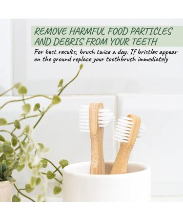 Denture Cleaner Brush - Eco-Friendly Bamboo Toothbrush for Safe Cleaning of Full & Partial Dentures - Buy Online on GoSupps.com