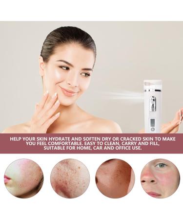 Baluue 2pcs Hydrating Instrument Fog Humidifier Portable Humidifer Mini Face Sprayer Face Steamer Abs White - Buy Online on GoSupps.com