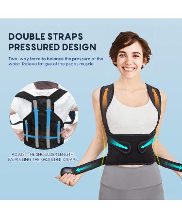 Adjustable Back Brace & Posture Corrector for Men & Women - Relieve Back Pain & Correct Scoliosis (M Waist: 34-41 inch - Buy Online on GoSupps.com