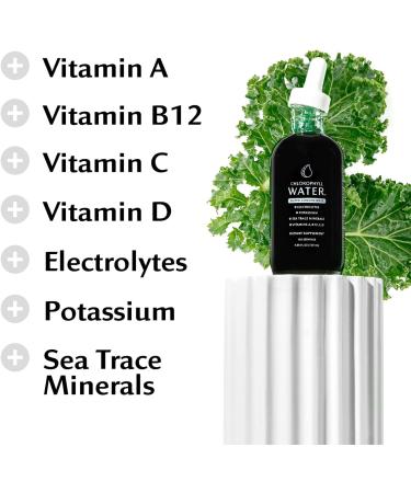 Chlorophyll Water Drops - Liquid Chlorophyll Drops (12 000mg) for Natural Detox Immune and Energy Support with Antioxidants Electrolytes Potassium Sea Trace Minerals & Vitamins A B12 C & D3 - Buy Online on GoSupps.com