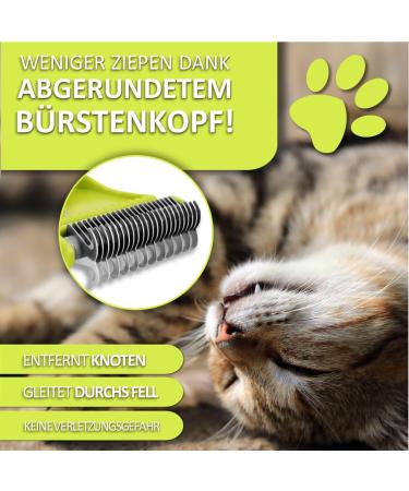 Orientpaw Professional Cat Brush Set - 3-in-1 Grooming Solution for Short & Long Hair | 100% Comfort & Hygiene - Perfect for Cat Care - Buy Online on GoSupps.com