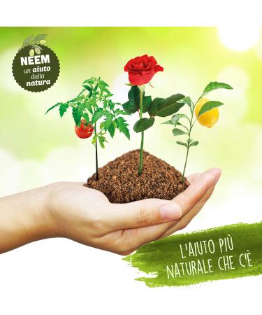 Expert Advice Neemolie 100 ml - Buy Online on GoSupps.com