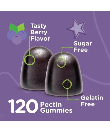 Sugar Free Sambucus Black Elderberry Gummies for Kids - Immune Booster with Vitamin C & Zinc - Vegan & Gluten Free - Berry Flavored Chewables - Buy Online on GoSupps.com