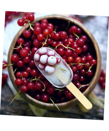 STOBOK 20pcs Ice Cream Stick Silicone Molds Popsicle Sticks for Crafts Jumbo Lollipop Diy Mold Giant Cake As Shown 7X1CM - Buy Online on GoSupps.com
