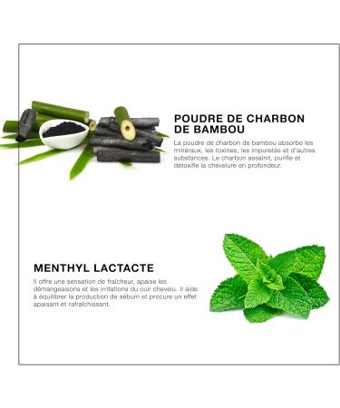 Lothmann Paris - Detox Shampoo with Soothing Charcoal and Keratin - 250ml - Buy Online on GoSupps.com