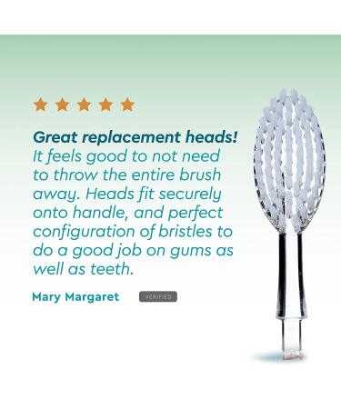 Radius Toothbrush Replacement Brush Heads - Soft 2-Count Pack of 6 | Improve Gum Health & Reduce Gum Issues - Buy Online on GoSupps.com
