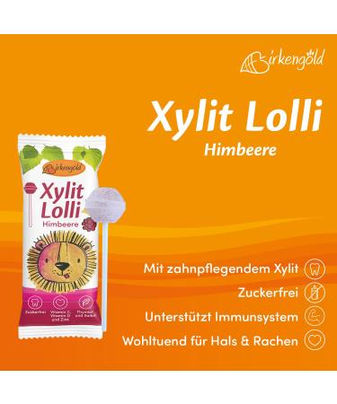 Buy Birch Gold Xylitol Sugar-Free Lollipops - Vegan Multivitamin Dental Care - 20 Pack of Raspberry Flavor - Individually Wrapped 6g Treats - Buy Online on GoSupps.com